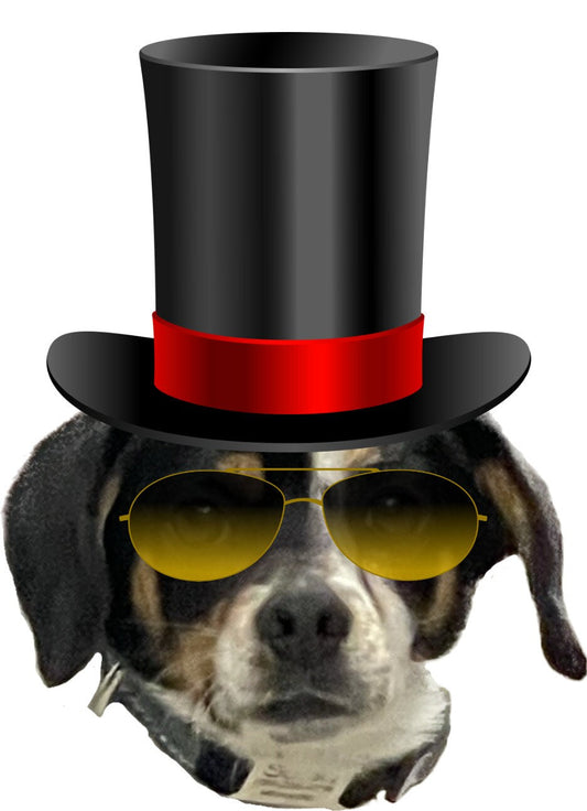 Custom Pets Head Birthday Banner, Custom Birthday Photo Banner, Pets Face Banner, Personalized Birthday Banner Stylenya