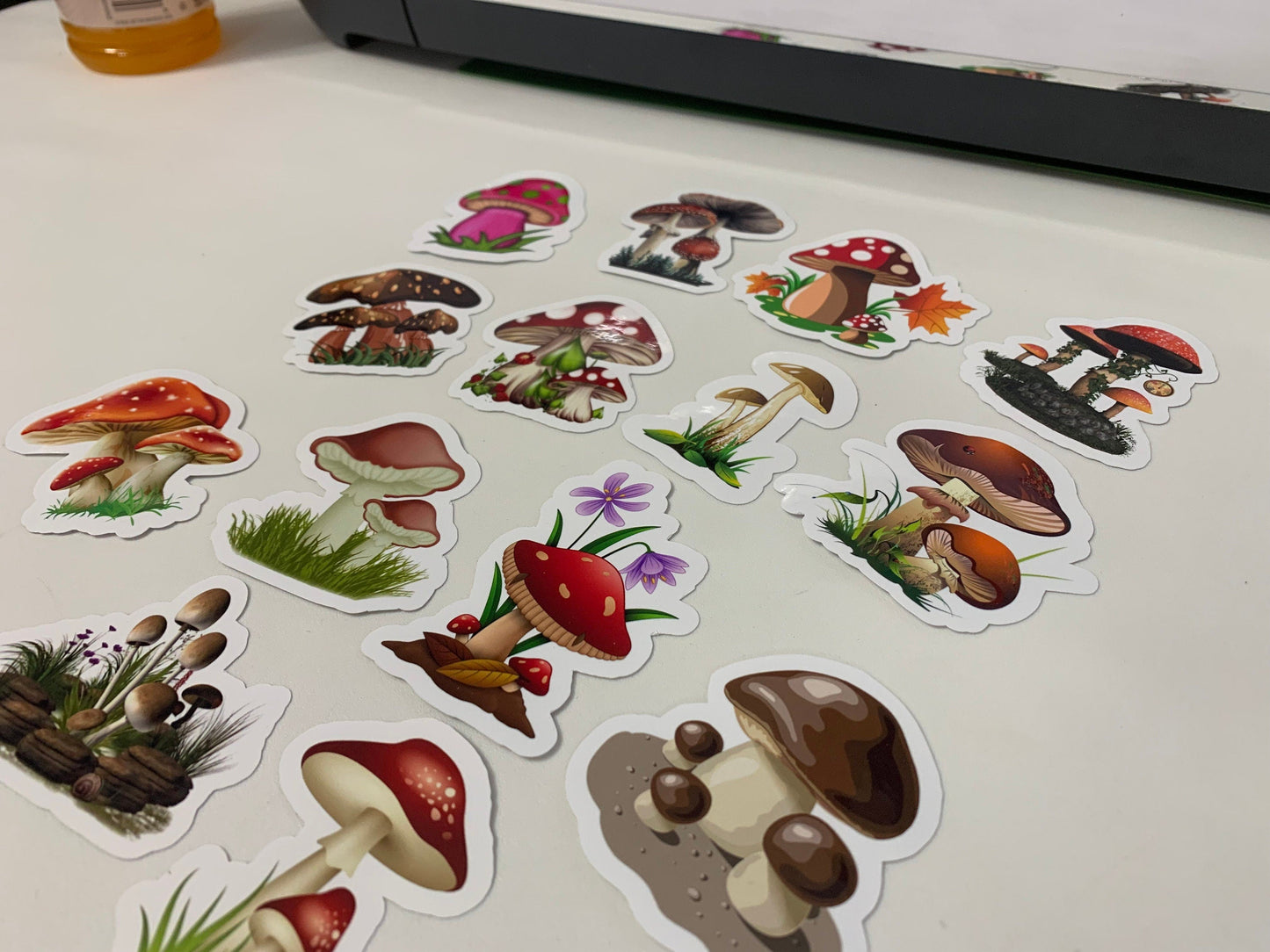Mushrooms Stickers Package, aesthetic gifts for any party, vinyl stickers for laptop and notebook: (14 pieces) Stylenya
