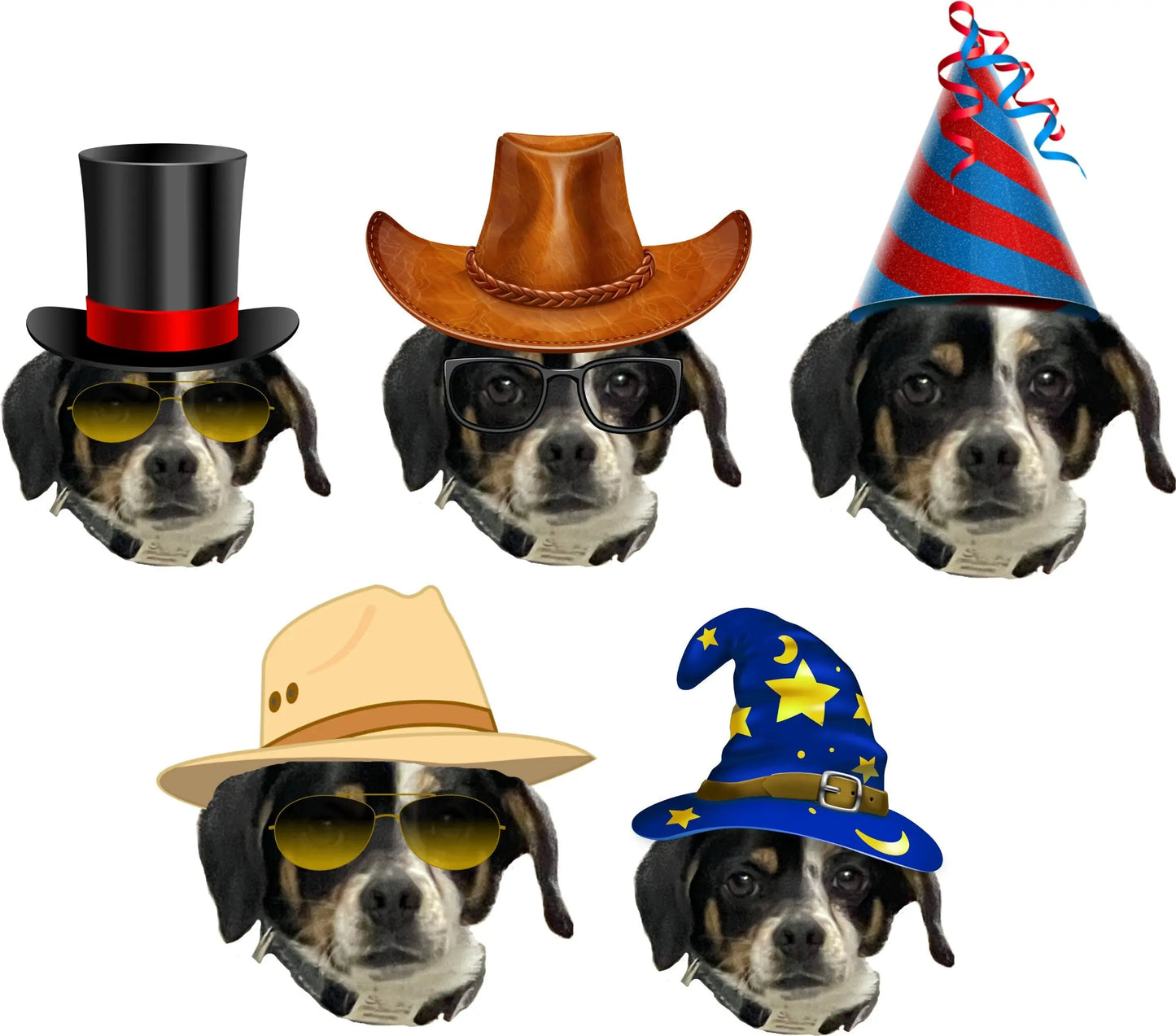 Custom Head Birthday Banner, Custom Birthday Photo Banner, Face Banner, Personalized Birthday Banner Stylenya