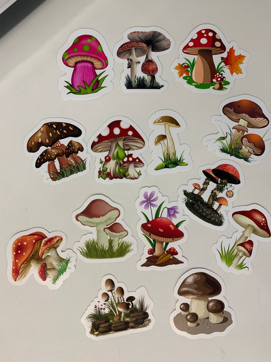 Mushrooms Stickers Package, aesthetic gifts for any party, vinyl stickers for laptop and notebook: (14 pieces)