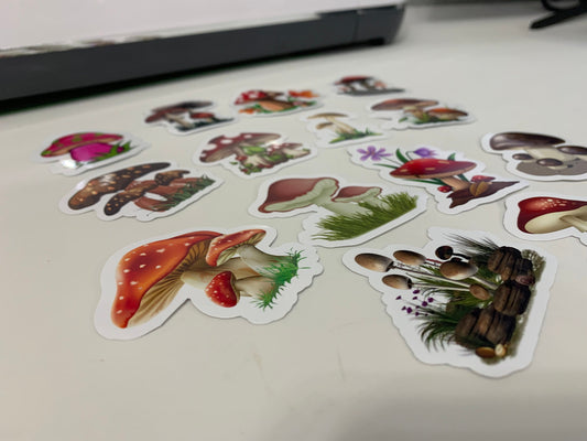 Mushrooms Stickers Package, aesthetic gifts for any party, vinyl stickers for laptop and notebook: (14 pieces)