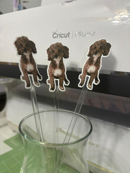 Funny Drink Stirrers Personalized Face Custom Party Decorations. Funny Stirrers Drink Decor (Package of 12)